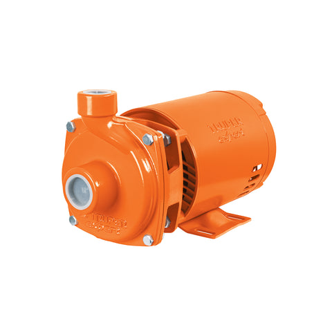 Bomba centrífuga para agua, 3/4 HP, TRUPER EXPERT | BOAC-3/4AX | 100432