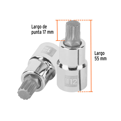 Dado punta corta bristol M12, cuadro 1/2', Truper | D-1212-BC | 101274