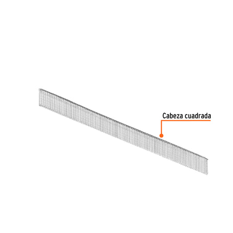 Caja con 5000 clavos calibre 18, 10 mm para CLNE-18, Truper | CLANEU-18-10 | 18260
