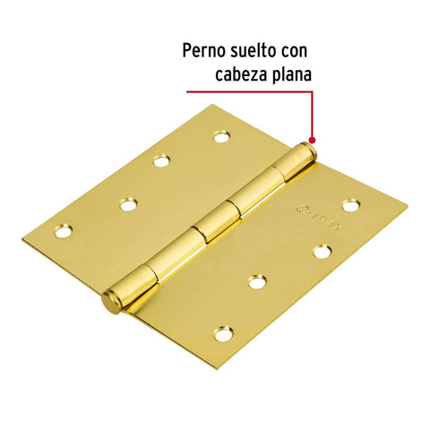 Bisagra cuadrada, 4',latonado, cabeza plana, HERMEX BASIC | BC-401PP | 23686