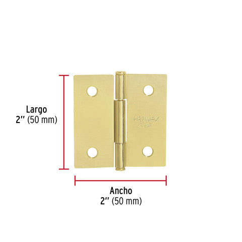 Bisagra cuadrada 2', latonado, cabeza plana, HERMEX BASIC | BC-201PP | 25108