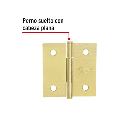 Bisagra cuadrada 2', latonado, cabeza plana, HERMEX BASIC | BC-201PP | 25108