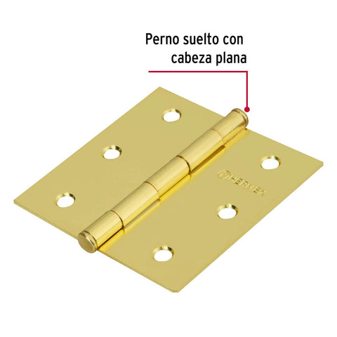 Bisagra cuadrada 3', latonado, cabeza plana, HERMEX BASIC | BC-301PP | 28800