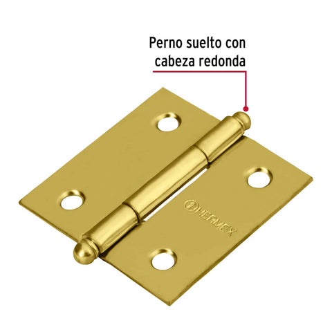 Bisagra cuadrada 2', latonado, cabeza redonda, HERMEX | BC-201R | 43230