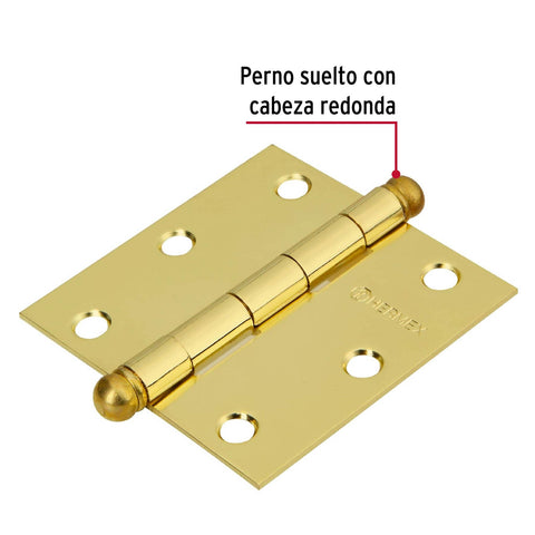 Bisagra cuadrada 3', latonado, cabeza redonda, HERMEX | BC-301R | 43232