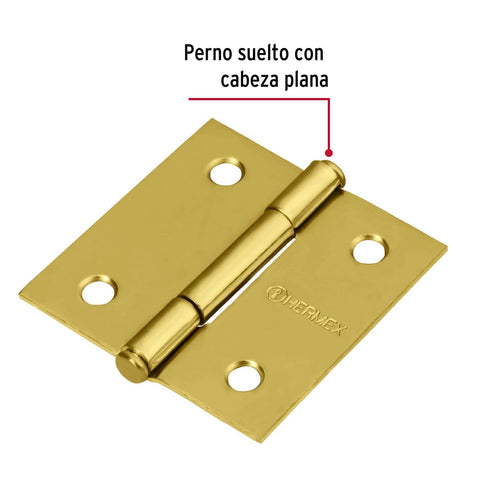 Bisagra cuadrada 2', latonado, cabeza plana, HERMEX | BC-201P | 43235