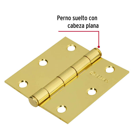 Bisagra cuadrada 3', latonado, cabeza plana, HERMEX | BC-301P | 43237