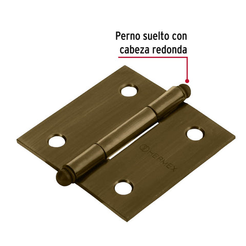 Bisagra cuadrada 2', latón antiguo, cabeza redonda, HERMEX | BC-202R | 43244