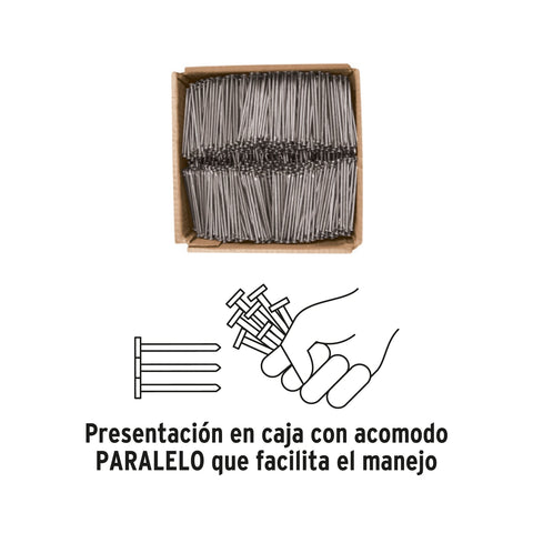 Kilo de clavo estándar 2-1/2' con cabeza en caja de 25 kg | CLE-2-1/2 | 44153