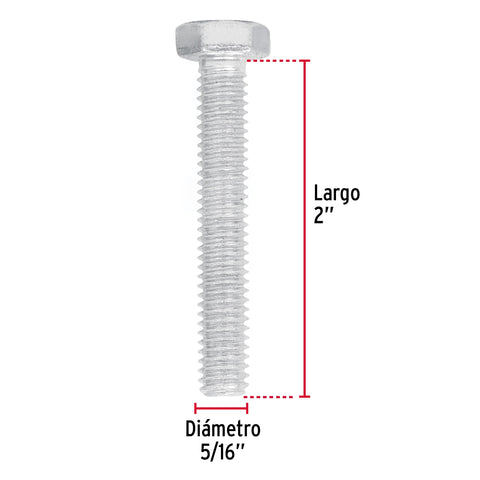 Bolsa con 80 tornillos 5/16' x 2' tipo máquina, FIERO | TORM-5/16X2 | 44569