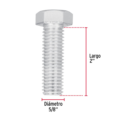 Bolsa con 10 tornillos 5/8' x 2' tipo máquina, FIERO | TORM-5/8X2 | 44669