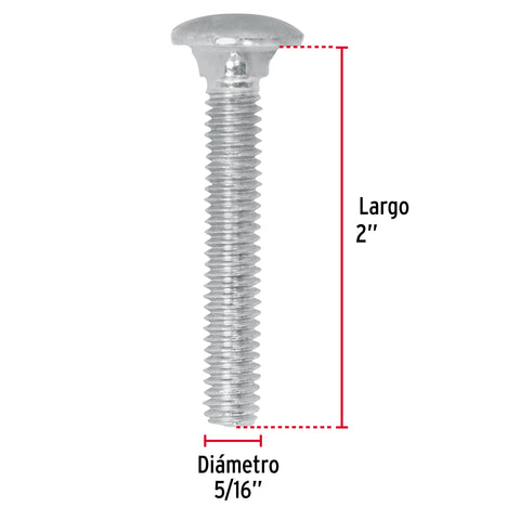 Bolsa con 80 tornillos 5/16' x 2' tipo coche, FIERO | TORC-5/16X2 | 44723