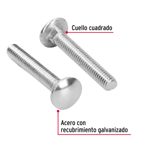 Bolsa con 80 tornillos 5/16' x 2' tipo coche, FIERO | TORC-5/16X2 | 44723