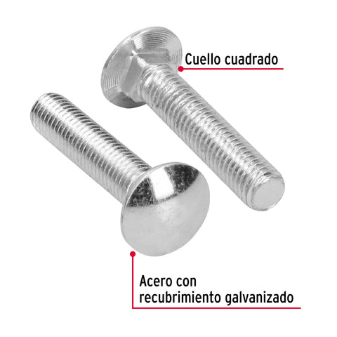 Bolsa con 20 tornillos 1/2' x 2-1/2' tipo coche, FIERO | TORC-1/2X2-1/2 | 44749