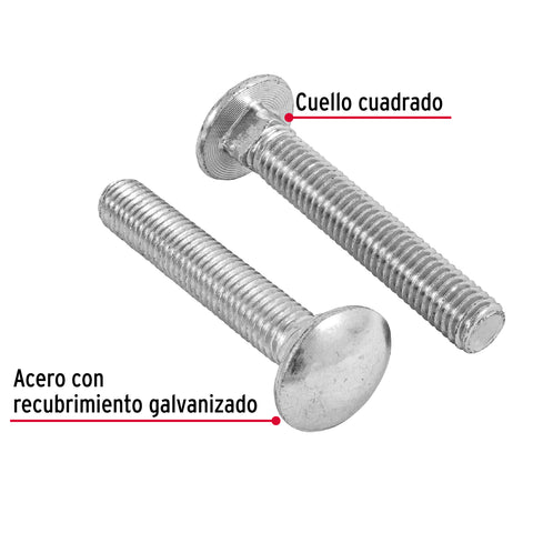 Bolsa con 20 tornillos 1/2' x 3' tipo coche, FIERO | TORC-1/2X3 | 44750