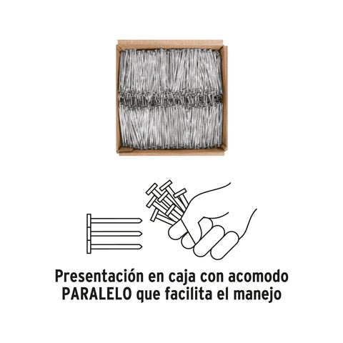 Kilo de clavos para concreto 2-1/2'galvanizado,caja de 25 kg | CLCG-2-1/2G | 44833