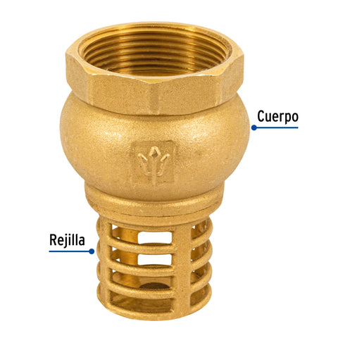 Pichancha con rejilla de latón 1-1/2', FOSET | PICHA-1-1/2 | 49048
