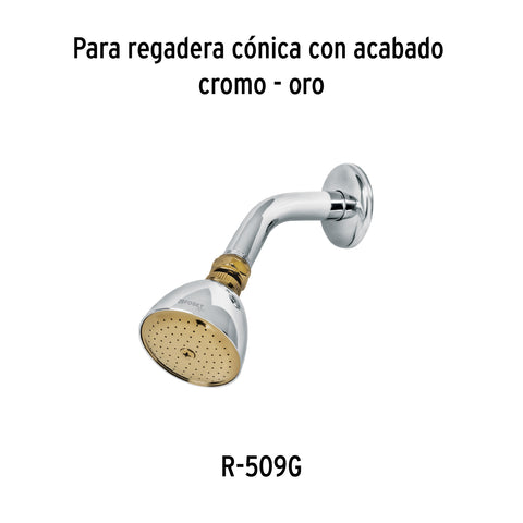 Regadera cónica 2-1/2', metálica, sin brazo, cromo-oro, AQUA | R-509SG | 49148