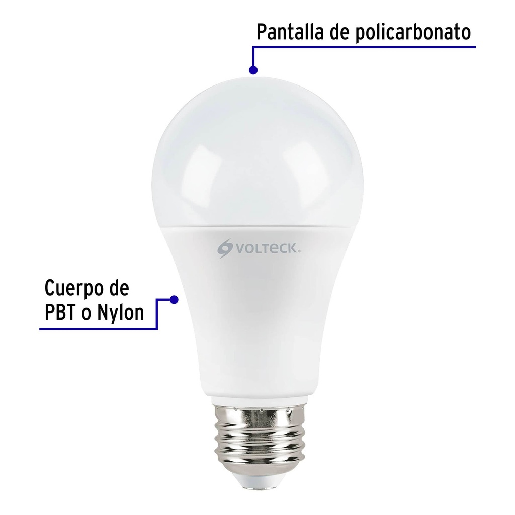 LED-100F+FC1.jpg