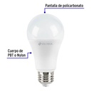 LED-100F+FC1.jpg