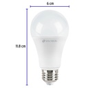LED-100F+FC2.jpg