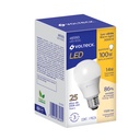 LED-100C+E1.jpg