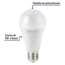 LED-100C+FC1.jpg