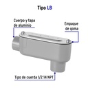 COLET-1-2-LB+FC1.jpg