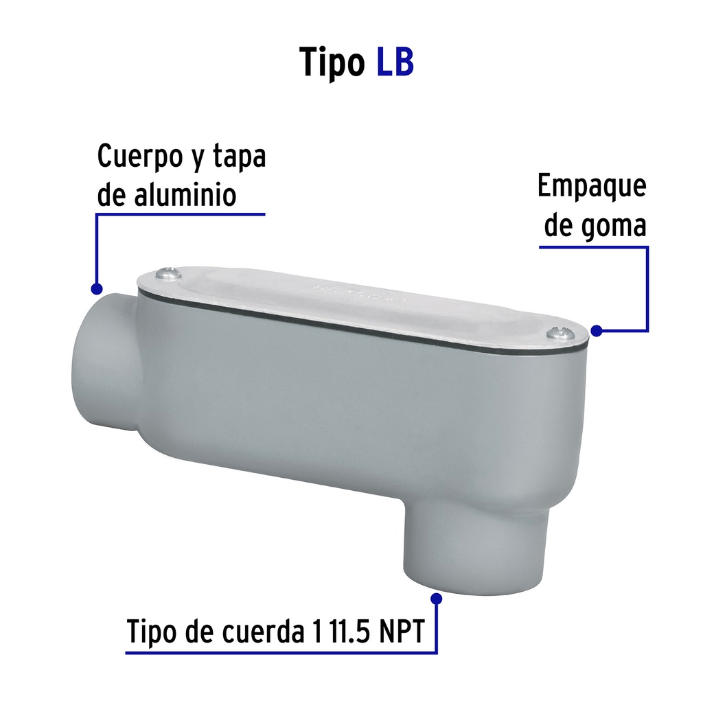 COLET-1-LB+FC1.jpg