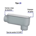 COLET-1-LB+FC1.jpg
