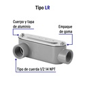 COLET-1-2-LR+FC1.jpg