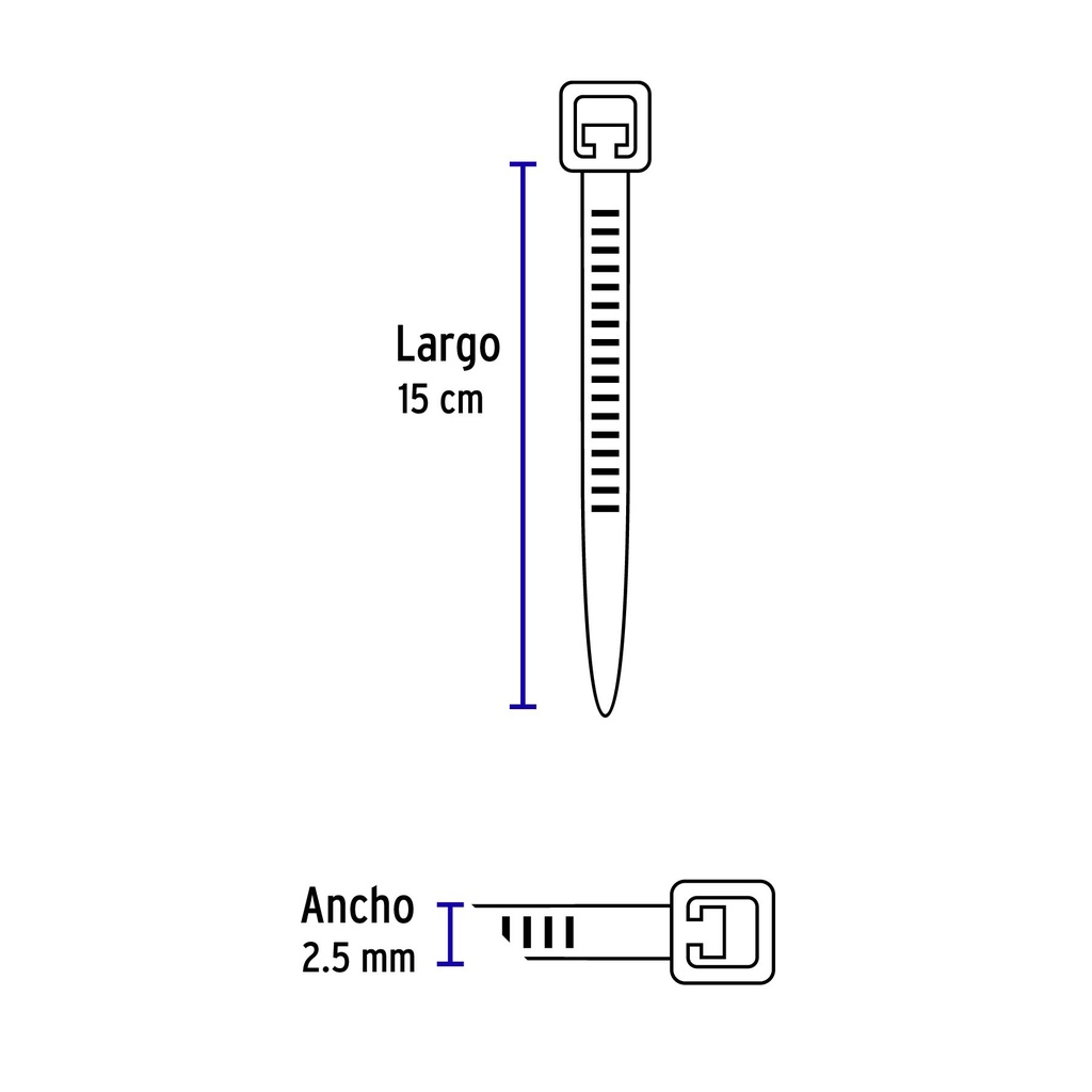 CIN-1815+D2.jpg