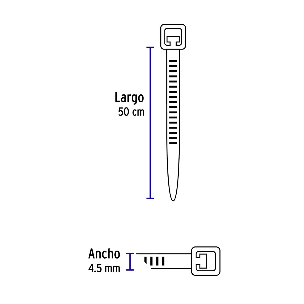 CIN-5050+D2.jpg