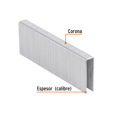 Caja con 1000 grapas corona 7/16' cal. 16, 38mm p/ENNE-160 | GRANEU-7/16-38 | 13335