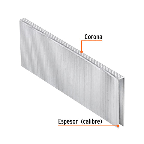 Caja con 5000 grapas corona 1/4' calibre 18, 40mm p/ENNE-120 | GRANEU-1/4-40 | 18279