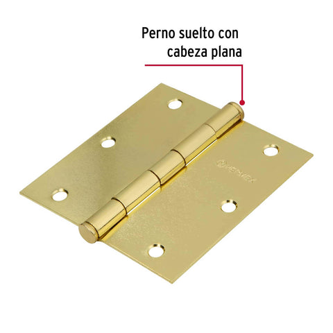 Bisagra cuadrada 3-1/2',latonado, cabeza plana, HERMEX BASIC | BC-351PP | 23685
