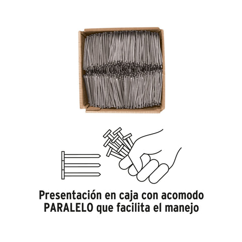 Kilo de clavo estándar 2-1/2' con cabeza en caja de 10 kg | CLE-2-1/2-10 | 40167