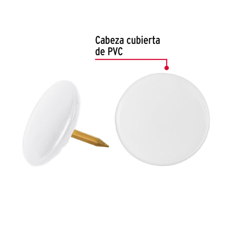 Caja con 100 chinches blancas, FIERO | CHI-100B | 41252