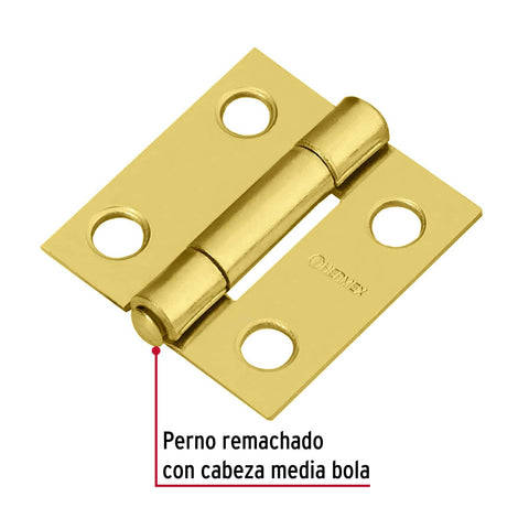 Bisagra rectangular 1' acero latonado, HERMEX | BR-101 | 43192