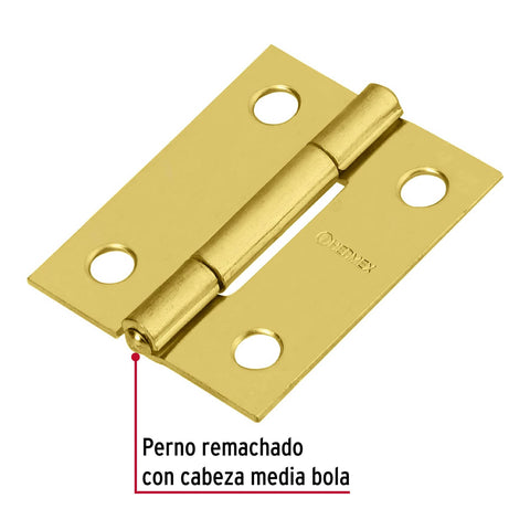 Bisagra rectangular 1-1/2' acero latonado, HERMEX | BR-151 | 43193