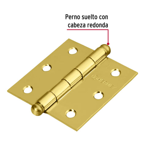 Bisagra cuadrada 2-1/2', latonado, cabeza redonda, HERMEX | BC-251R | 43231