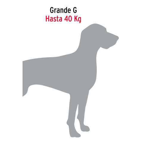 Cadena de paseo para perro de 1.2 m x 4.5 mm, FIERO | CAPE-45 | 44285
