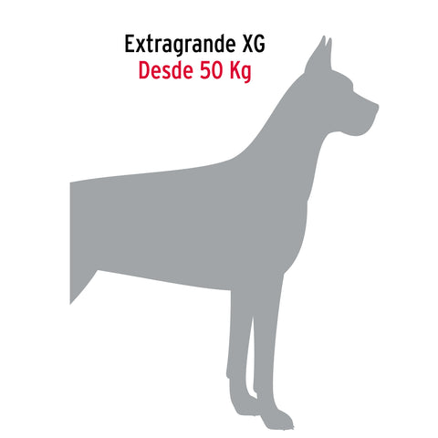 Cadena de paseo para perro de 1.2 m x 5 mm, FIERO | CAPE-50 | 44286