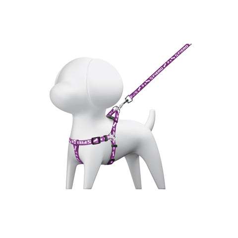 Correa con pechera para perro, 1 cm ancho, FIERO | COPE-10 | 44294