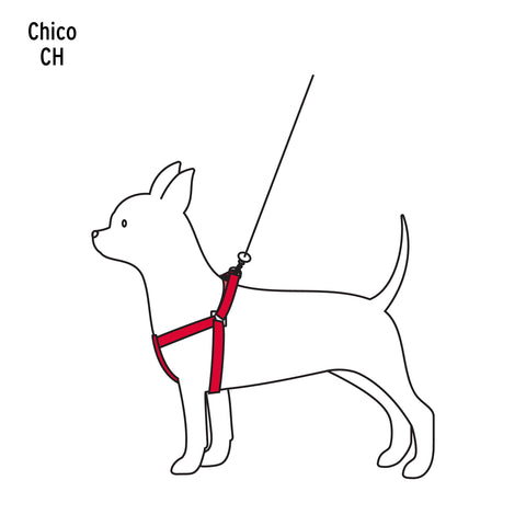 Correa con pechera para perro, 1 cm ancho, FIERO | COPE-10 | 44294