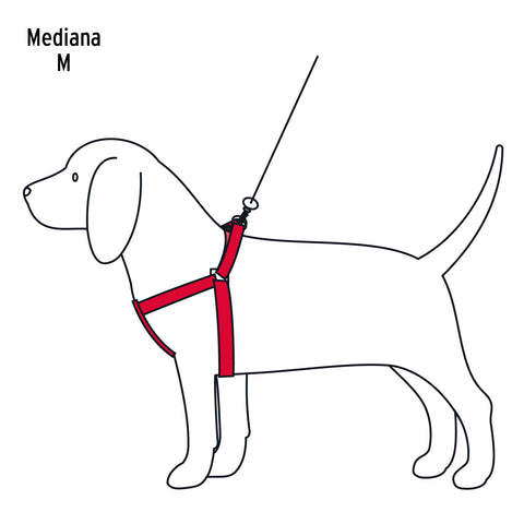 Correa con pechera para perro, 1.5 cm ancho, FIERO | COPE-15 | 44295