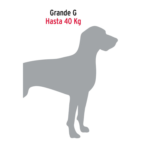 Cadena de 1.8 m de amarre para perro, 2.7 mm, FIERO | CAPE-35V | 44315