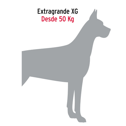 Cadena de 1.8 m de amarre para perro, 2.9 mm, FIERO | CAPE-40V | 44316