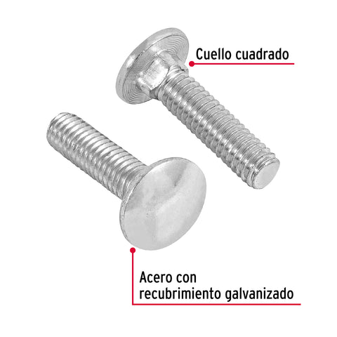Bolsa con 60 tornillos 5/16' x 1-1/4' tipo coche, FIERO | TORC-5/16X1-1/4 | 44721