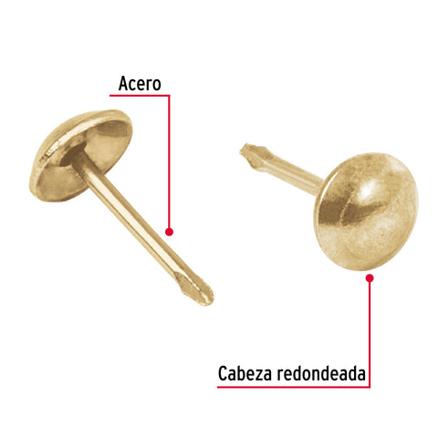 Caja con 500 clavillos dorados de 17 mm, FIERO | CLV-17D | 44901